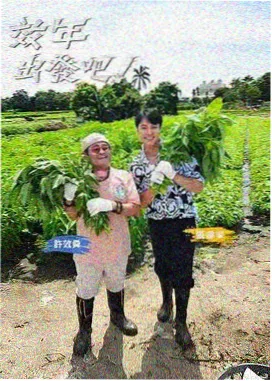 在线影音 - 向往的生活